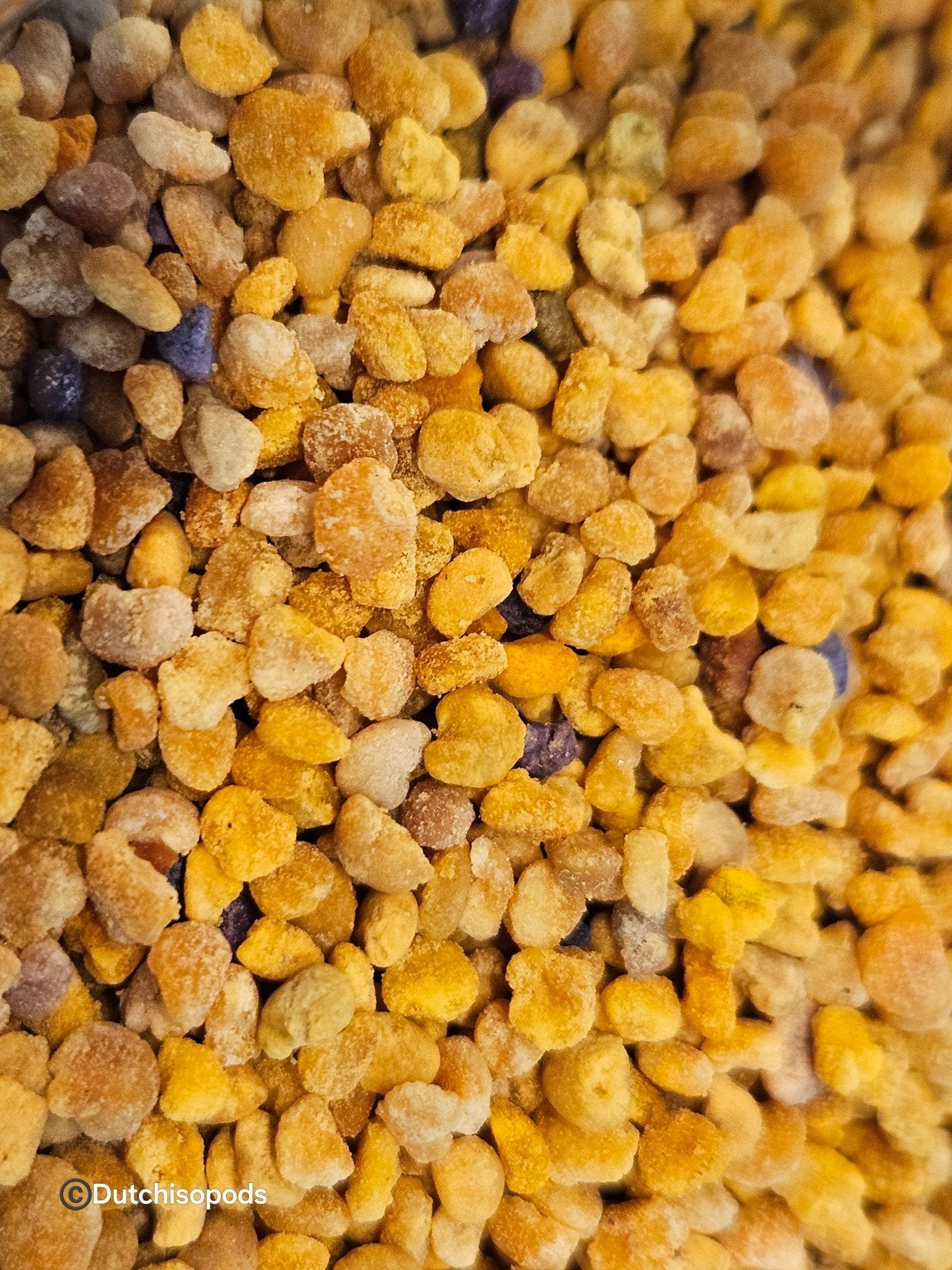Bijenpollen
