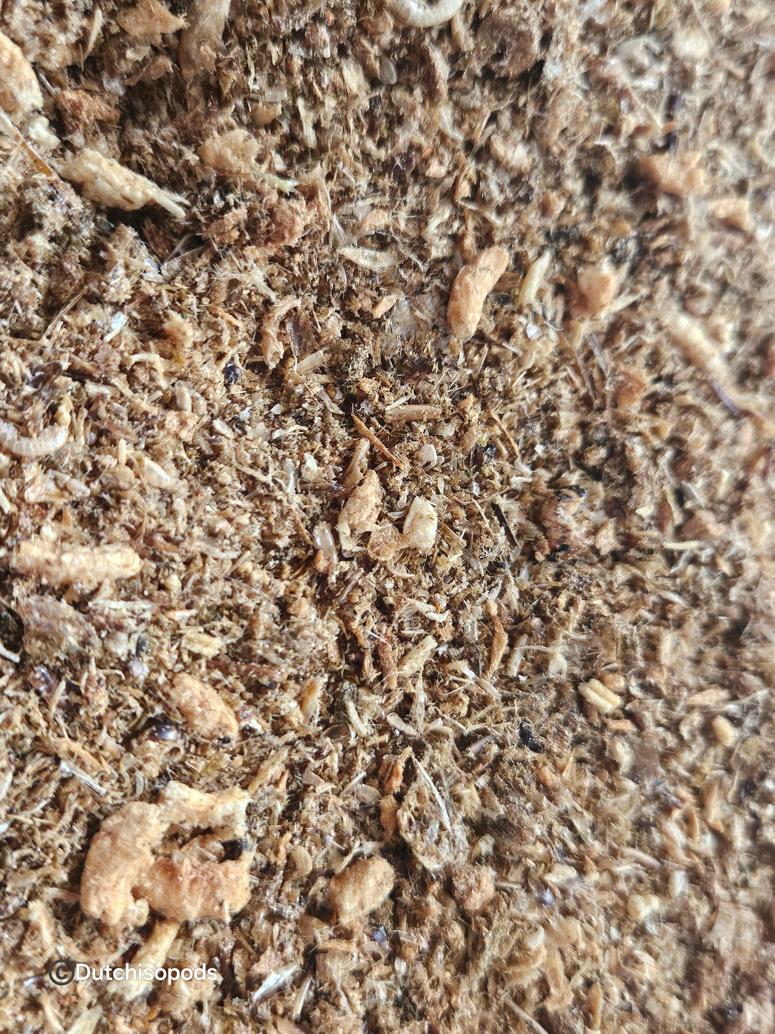 Probeerpakket voermixen