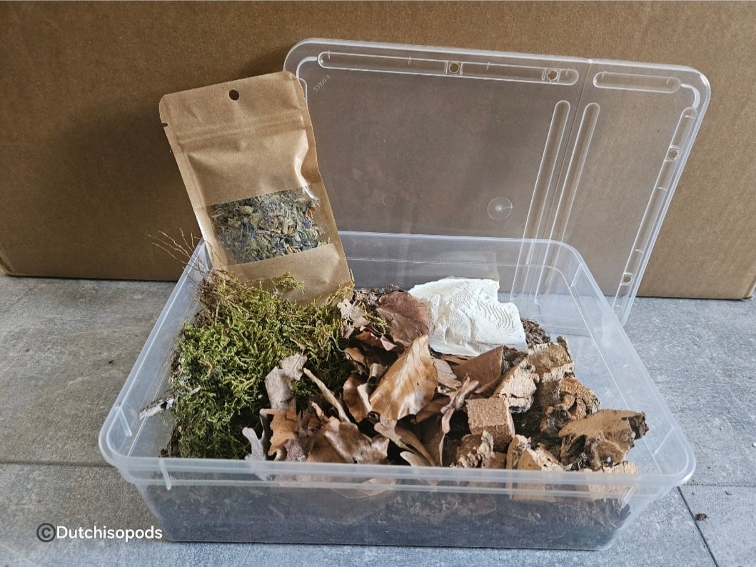 Startpakket pissebedden 1