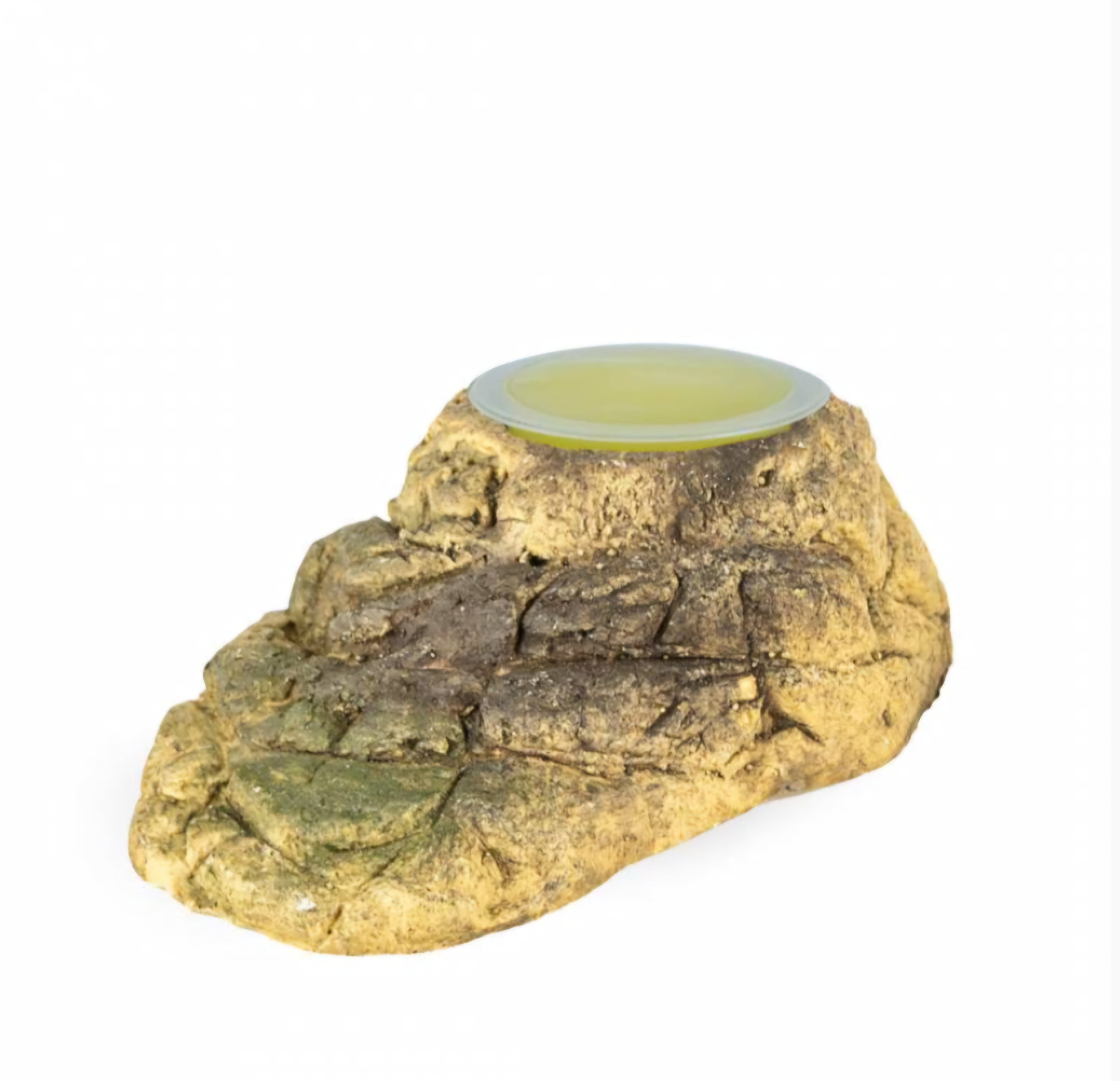 Back Zoo Nature Fruitcup holder