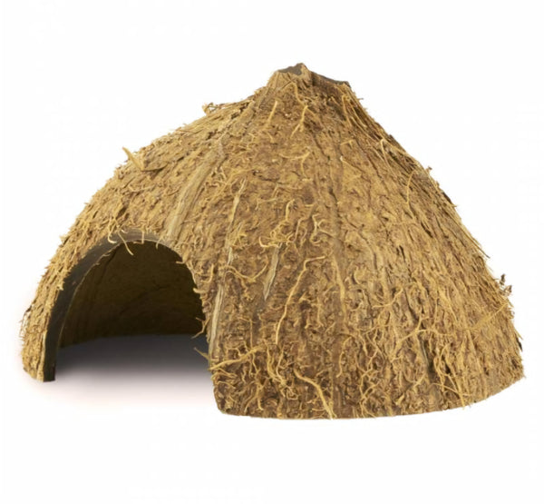 Back Zoo Nature coco hiding cave