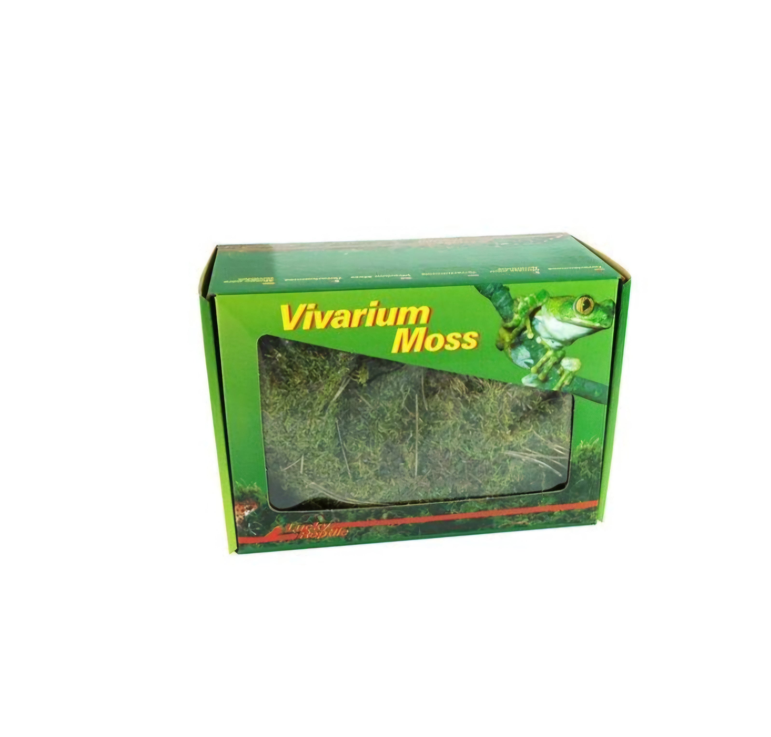Vivarium moss