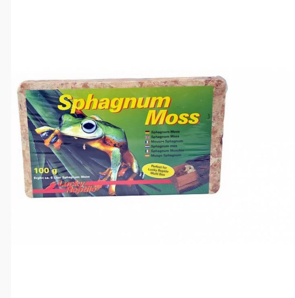 Lucky reptile Spaghnum moss 100 gr