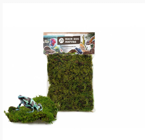 Back Zoo Nature Forest moss